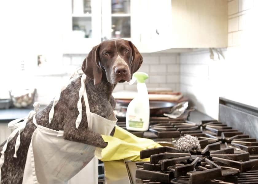 kitchen cleaning